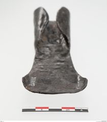 Foto von Eisendechsel (NHMW-PRAE-023817)